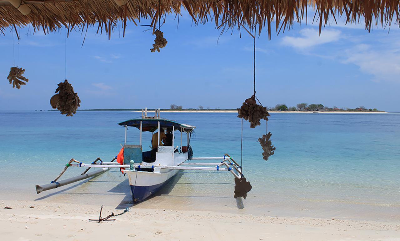 East Lombok Dive Hotel - 3 Private Rooms On The Beach With Seaview & Scuba Diving Center Labuhan Pandan Екстериор снимка