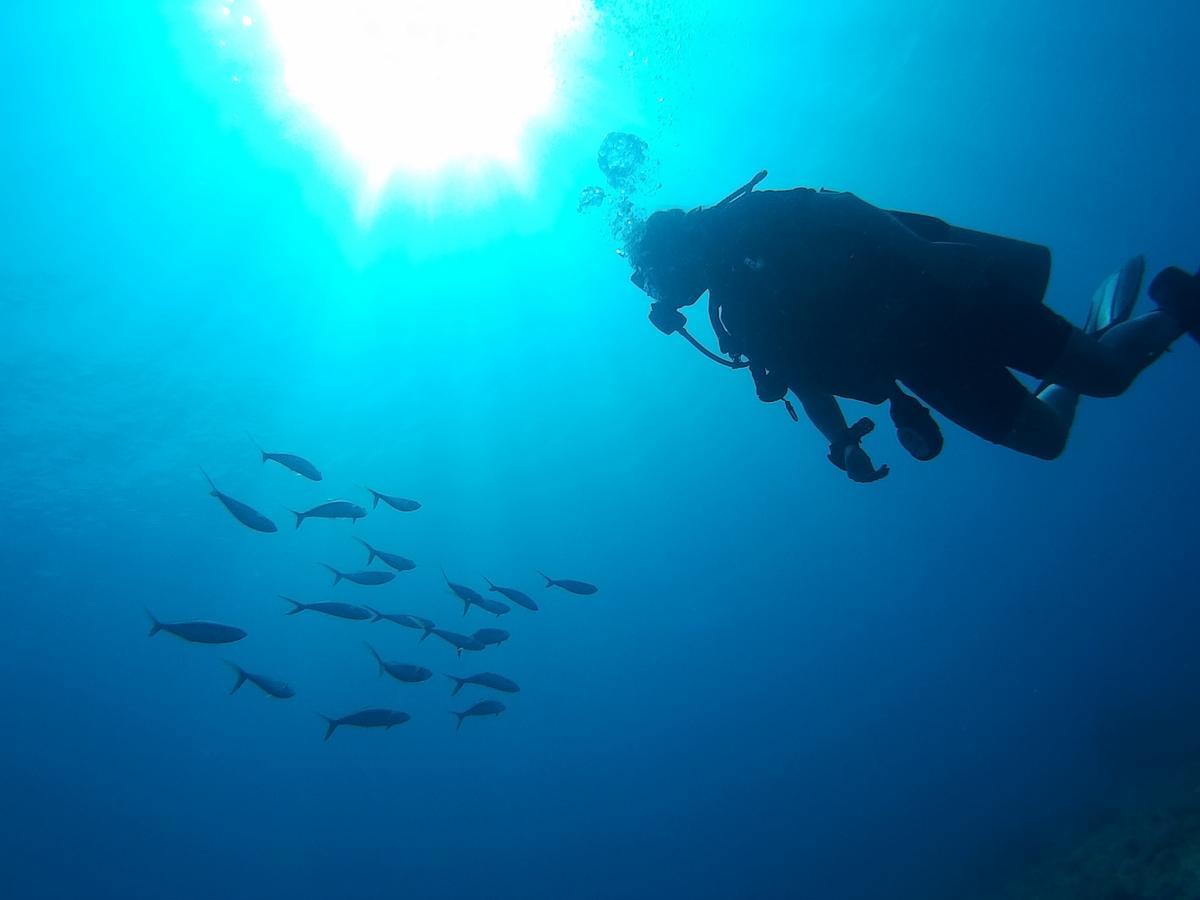 East Lombok Dive Hotel - 3 Private Rooms On The Beach With Seaview & Scuba Diving Center Labuhan Pandan Екстериор снимка